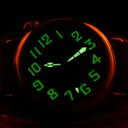 Vario 1918 Pilot